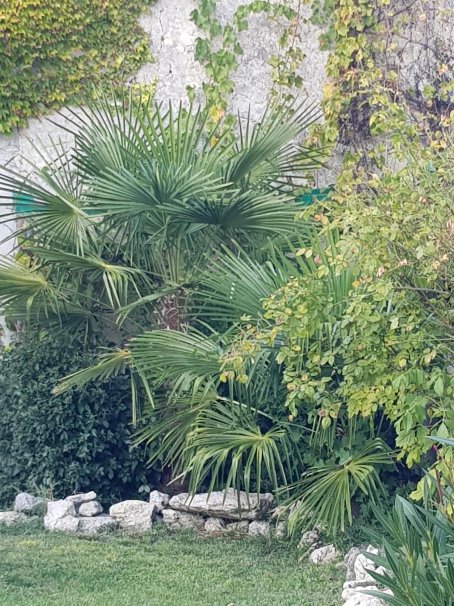 La Maison Malabar Villefranche-du-Queyran Eksteriør billede